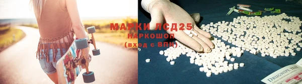 гидра Михайловка