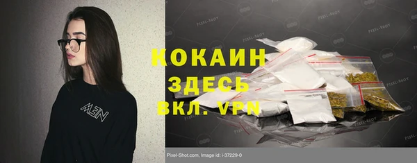 спайс Алзамай