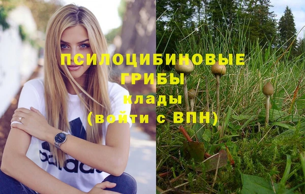 соль курить ск Алексеевка