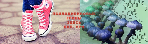 соль курить ск Алексеевка