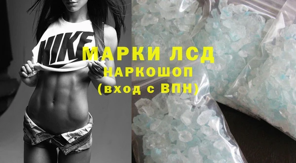 спайс Алзамай