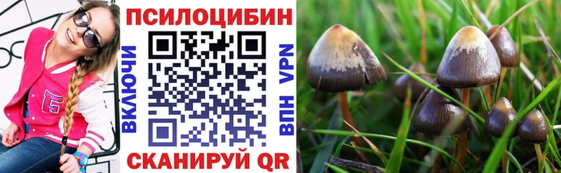 МЕГА tor  Ирбит  Псилоцибиновые грибы прущие грибы 