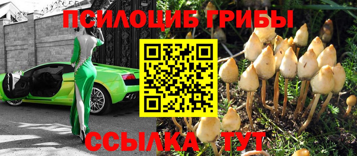 Псилоцибиновые грибы мухоморы Ирбит