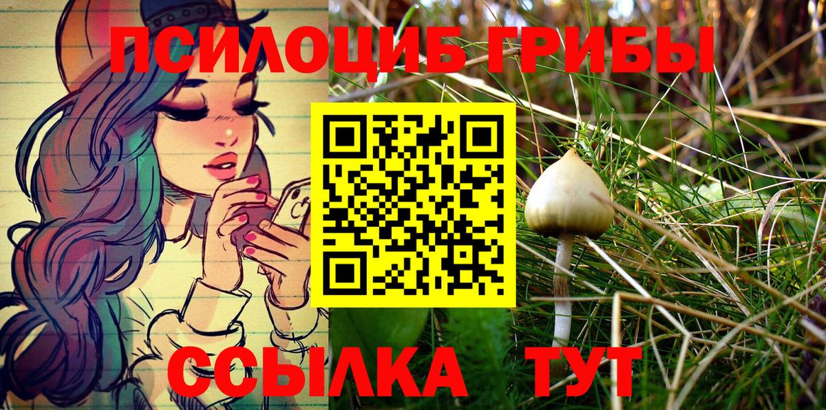 Ирбит  хочу   Галлюциногенные грибы GOLDEN TEACHER  Вход с VPN  Псилоцибиновые грибы Psilocybe 